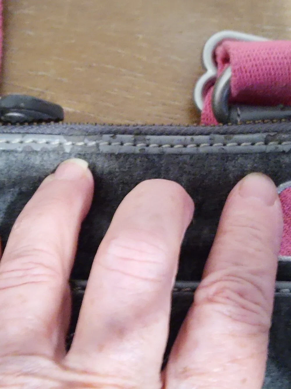 Juicy Couture Y2K small gray velour crossbody top zip pouch bag